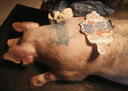 Very wierd, and actually I dont like it- putting a tattoo on a live animal 